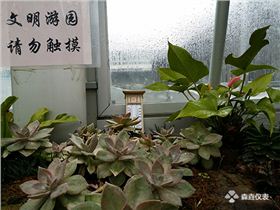 常用的溫度計(jì)是什么溫度計(jì)？