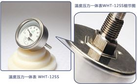 溫度計(jì)壓力表一體的儀表有嗎?