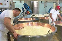 奶酪用數(shù)字顯示電子溫度計(jì)成功案例