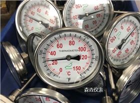 雙金屬溫度計的工作特性與性能