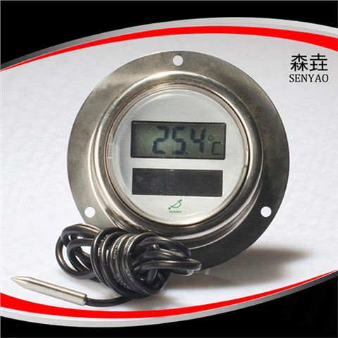 后法蘭太陽(yáng)能電子溫度計(jì)