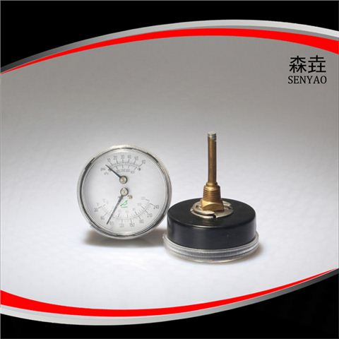 溫度壓力一體表