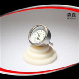 溫度壓力一體表  型號(hào)：WHT-12SS