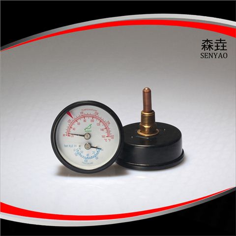 溫度壓力一體表