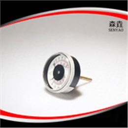 溫度壓力一體表 型號(hào)：WHT-1A