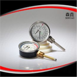 溫度壓力一體表  型號(hào)：WHT-7
