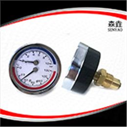 溫度壓力一體表  型號(hào)：WHT-19