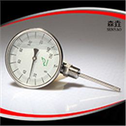 充油雙金屬溫度計(jì) 型號(hào)：LFI400