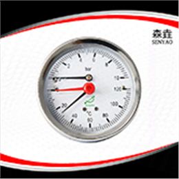 溫度壓力一體表  型號(hào)：WHT-20
