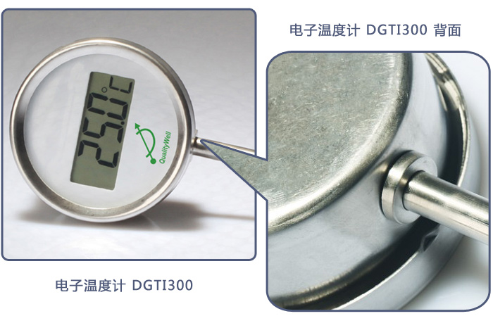 電子溫度計DGTI300