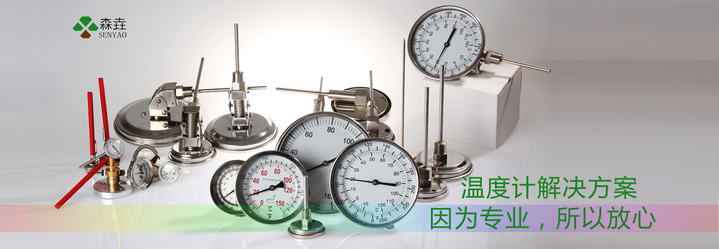 上海溫度計專業(yè)生產(chǎn)廠家.jpg