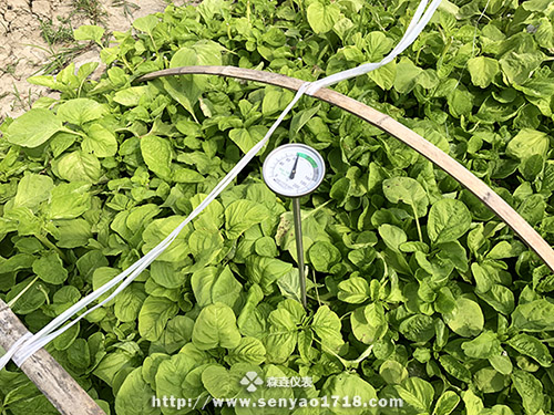 如何測量月球南極土壤的溫度呢？