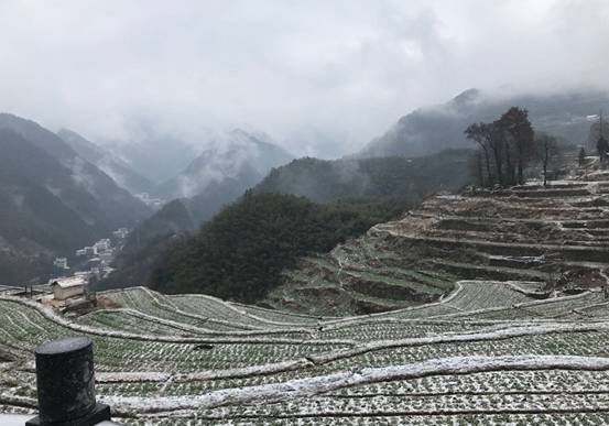 森垚儀表臨安行-2019年春節(jié)天目山登高 (3).jpg