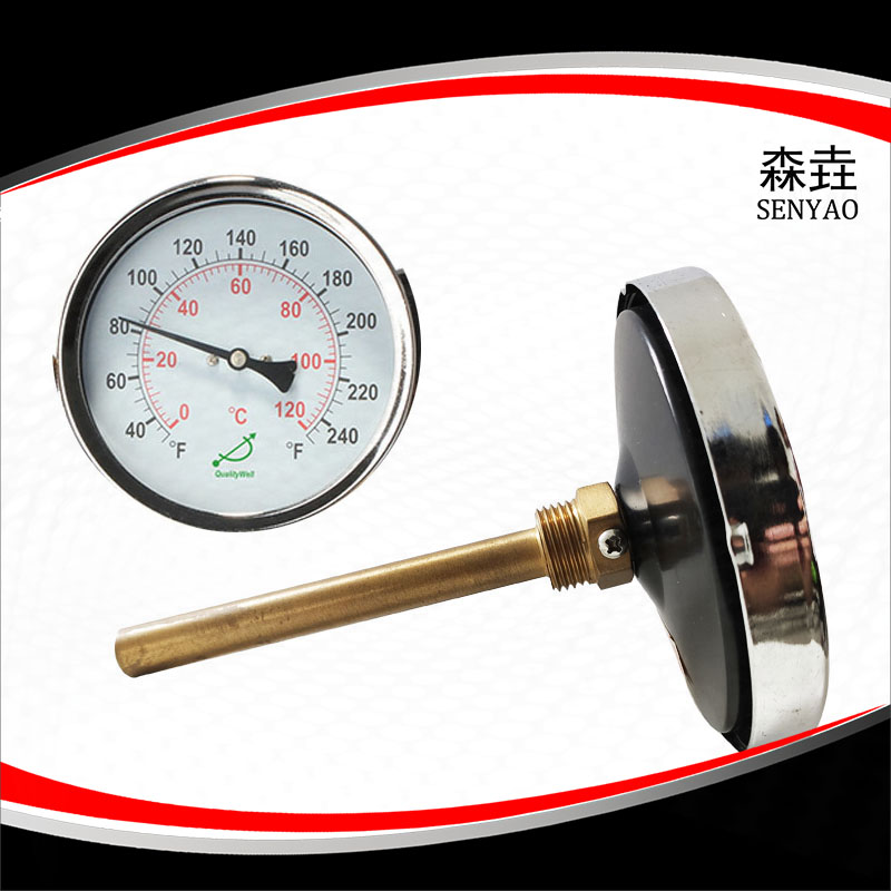 熱水爐雙金屬溫度計帶護套嗎？