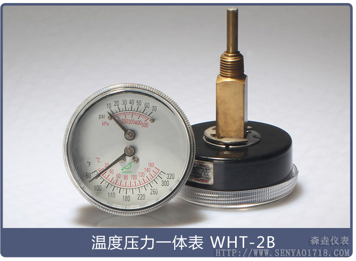 溫度壓力一體表 