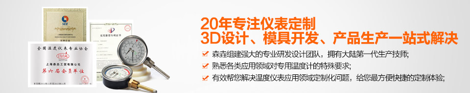 森垚20年專注儀表定制