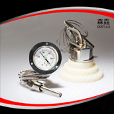 壓力式溫度計(jì) 型號(hào)：200RF21121
