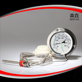 壓力式溫度計(jì) 型號(hào)：400RF12122