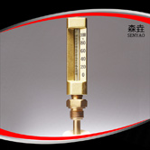 V型船用溫度計(jì) 型號(hào)：SKA