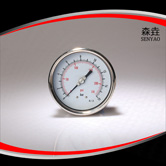 偏心軸向充油壓力表 型號(hào)：PG400BLNEGD