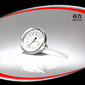 可拆雙金屬溫度計(jì) 型號(hào)：I300E