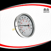 熱水鍋爐用軸向溫度計(jì) 型號(hào)：T600H